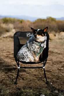 Intrepid TXC1   Camp   Chair
